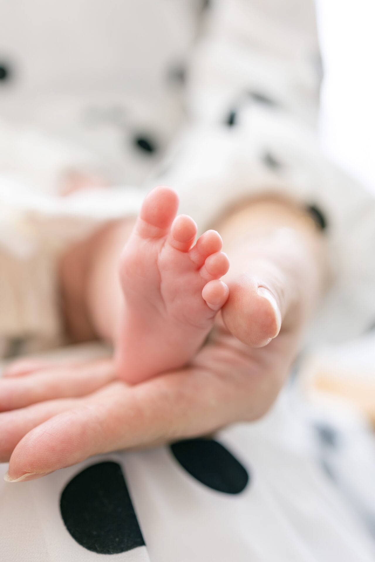 牛嶋神社近くのこども写真館・花と星フォトスタジオのお宮参り