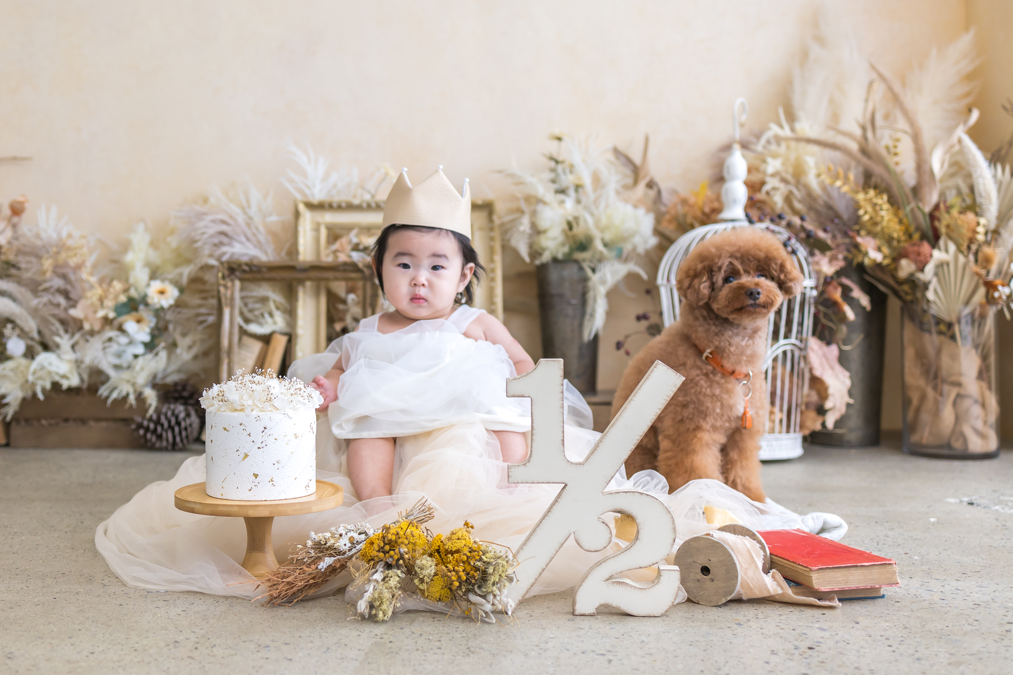 墨田区の子供写真館。ハーフバースデーや誕生日や七五三などの記念撮影は花と星フォトスタジオがおすすめ。