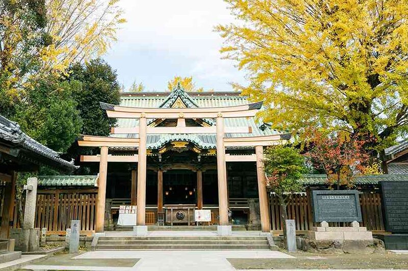 花と星フォトスタジオからほど近い牛嶋神社・七五三にお勧め