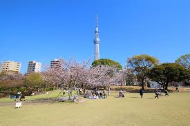 墨田区の子ども写真館・花と星フォトスタジオから近い墨田公園と牛嶋神社